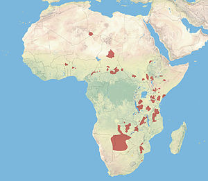 Utbreiinga av Afrikansk villhund