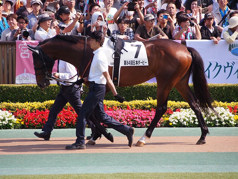 File:Al Ain - Japanese Derby 2017 (34952299135).jpg