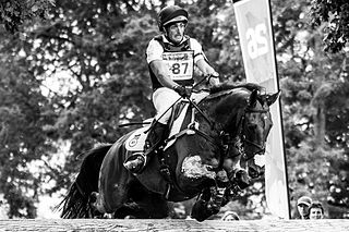 <span class="mw-page-title-main">Albert Hermoso Farras</span> Spanish equestrian