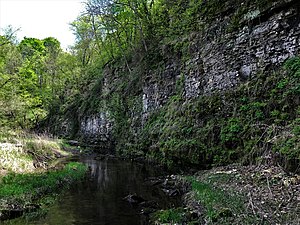 Algific talus slopes along Howard Creek at Driftless Area National Wildlife Refuge, May 2018 Algific Talus Slopes (47309708721).jpg