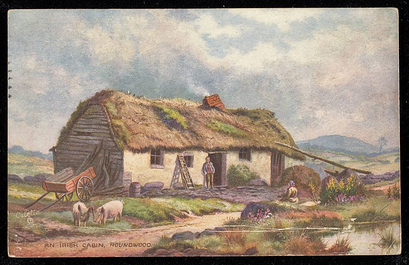 File:An Irish Cabin, Roundwood (NBY 439869).jpg