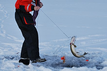 Ice fishing in Sweden.