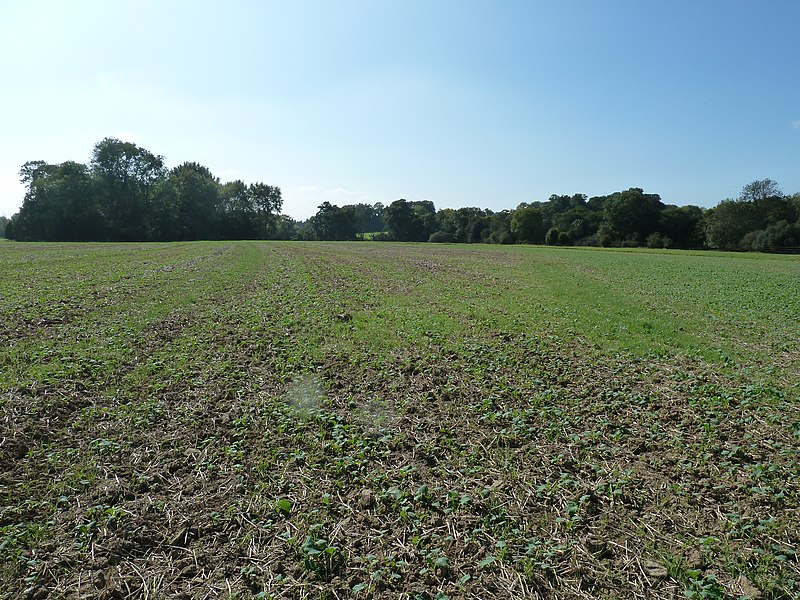 File:Arable land at West Grinstead Park - geograph.org.uk - 2622612.jpg