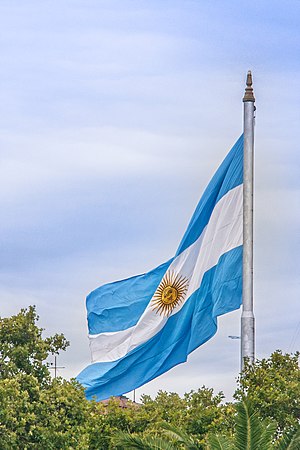 Vlag Van Argentinië
