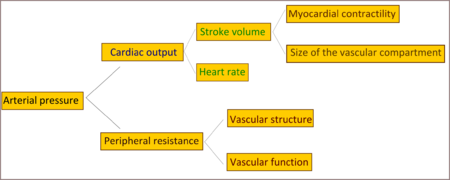 Tập_tin:Arterial_pressure_diagram.png