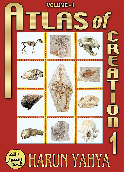 File:Atlas of creation cover.jpg