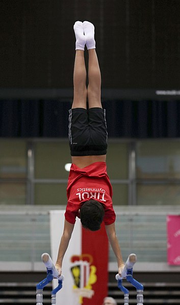 File:Austrian Future Cup 2018-11-23 Training Afternoon Parallel bars (Martin Rulsch) 0031.jpg