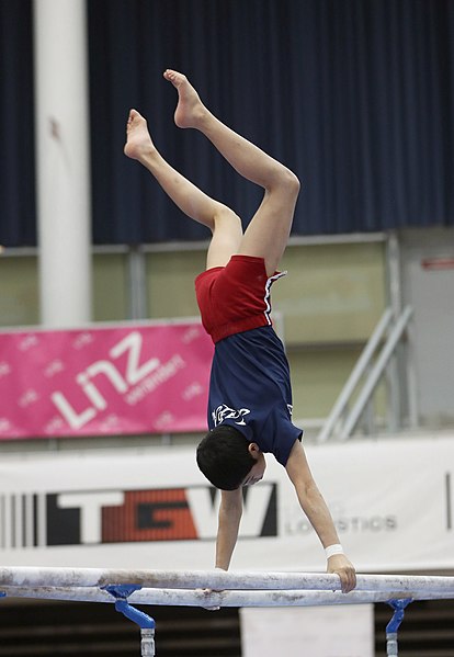 File:Austrian Future Cup 2018-11-23 Training Afternoon Parallel bars (Martin Rulsch) 0075.jpg