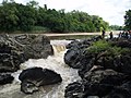 Vignette pour Parc national de la Bénoué