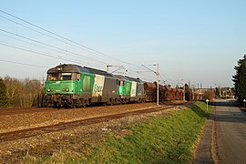 Couplage de BB 67400 tractant un train de fret.