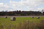 Balas redondas de paja, Walker, Indiana, Estados Unidos, 2012-10-20, DD 01.jpg