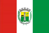 Flag of Palmas