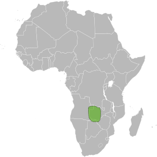 Localização de Barotseland na África