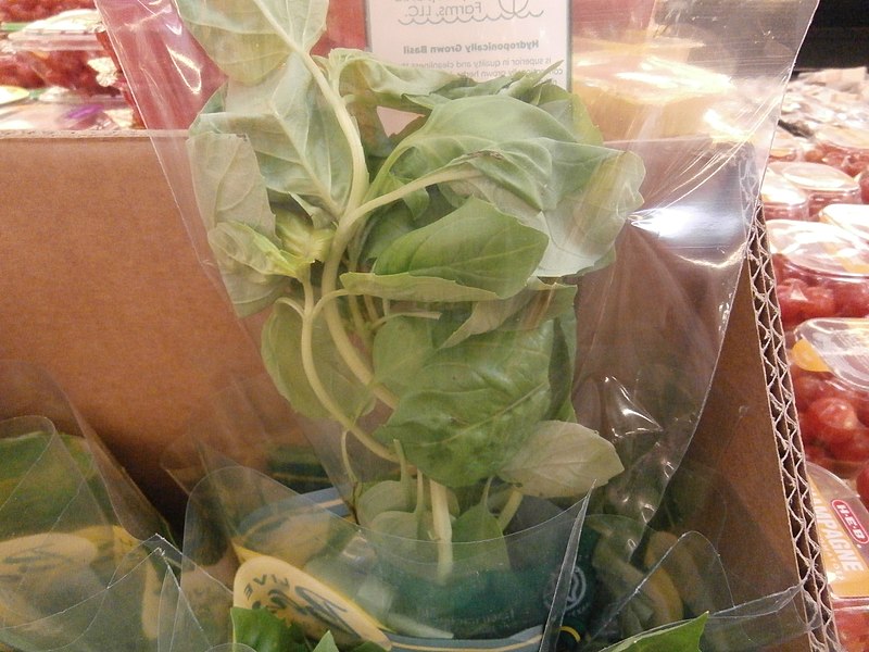 File:Basil wrapped in plastic.jpg