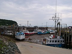 Bay of Fundy - Tide Out.jpg