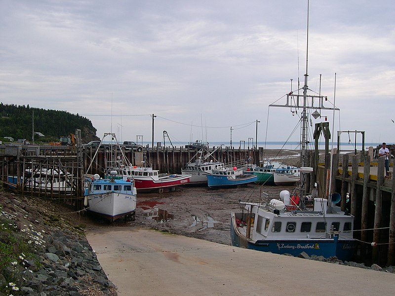 File:Bay of Fundy - Tide Out.jpg