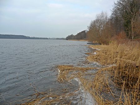 Belauer See