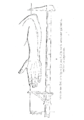 Bertillon - Identification anthropométrique (1893) 275 n&b.png