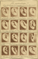 Bertillon - Identification anthropométrique (1893) 333.png