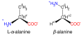 α-アラニンとβ-アラニン