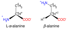 Comparison of the structures of alanine and beta alanine. In alanine, the side-chain is a methyl group; in beta alanine, the side-chain contains a methylene group connected to an amino group, and the alpha carbon lacks an amino group. The two amino acids, therefore, have the same formulae but different structures.