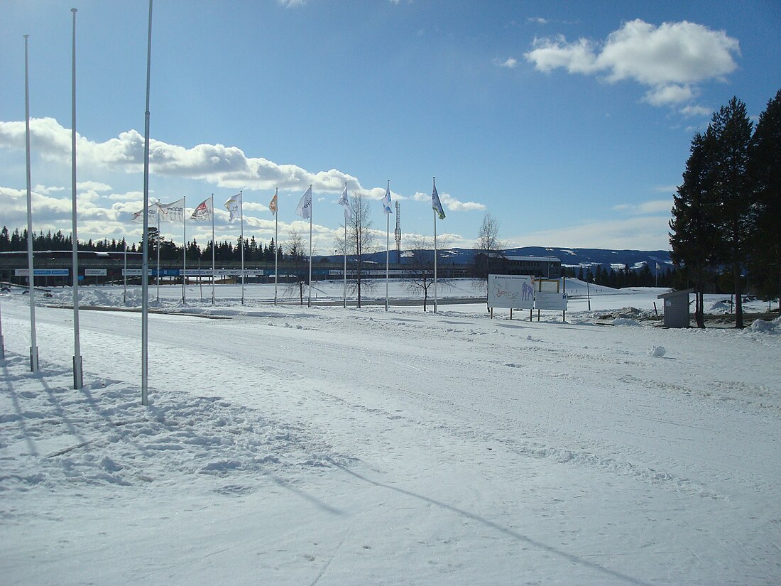 Skiskyting under Vinter-OL 1994