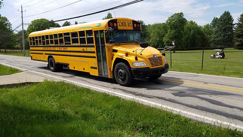 File:Blue Bird Vision School Bus MSDWT31.jpg