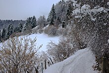 Archivo:Bosco_Chiesanuova_(Grietz_Dossetti_Tinazzo)_Lessinia_VR_Italy_2013-04-01_photo_CTG_ACA_LESSINIA_Paolo_Villa_0072sp11.jpg