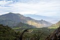 Bosque de Pampa Leones en los límites de las regiones La Libertad y Cajamarca