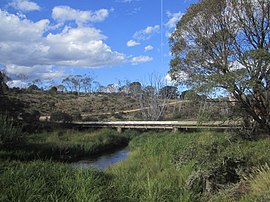 Bridge across the Murrumbidgee River, Tantangara, NSW.JPG