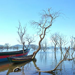 The Bui bayou is a wet land found in the brong ahafo region of Ghana © Kelsdark