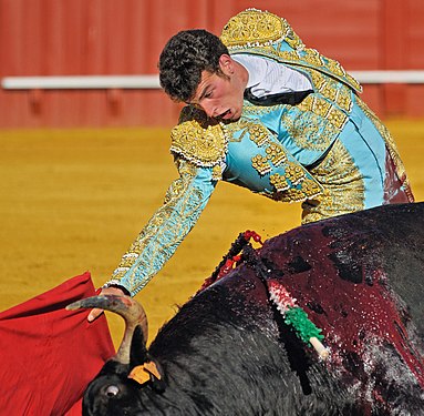 Bullfighter in the Plaza de toros de la Real Maestranza de Caballería in Seville, Spain