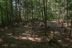 Burgstall Althexenagger - Blick über den breiten inneren Halsgraben zur Kernburg (August 2013)