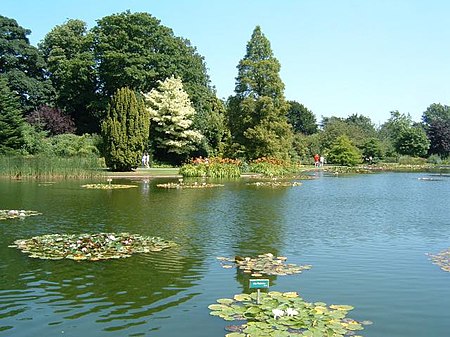 Burnby Hall Gardens