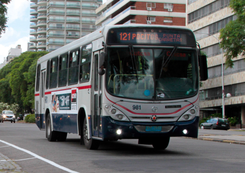 Bus CUTCSA de Montevideo, Uruguay.png