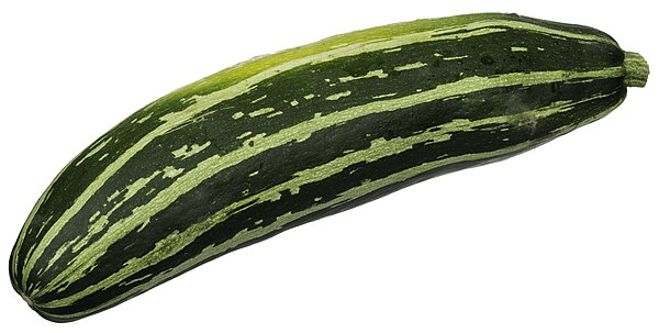 Image: CSA Striped Zucchini