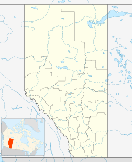 Bow Island is een plaats (town) in de Canadese provincie Alberta en telt 1790 inwoners (2006).
