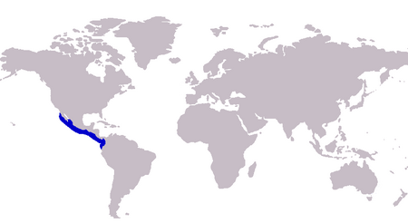 Caranx vinctus distribution.png