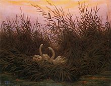Фридрих К. Д. «Лебеди в камышах». Холст, масло, 1832. Государственный Эрмитаж