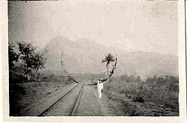 Chemin de fer du Bénin - Niger, la ligne au départ de Savè (février 1932).