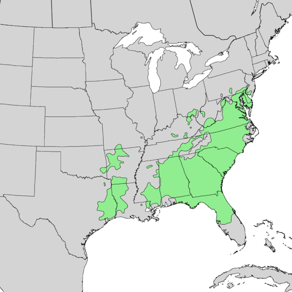 File:Chionanthus virginicus range map 2.png