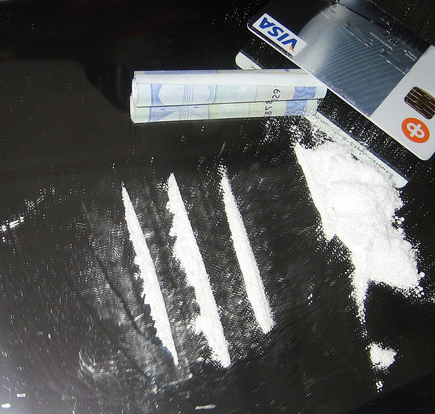 File:Cocaine lines 2.jpg