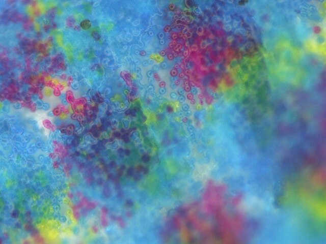Magnification of color laser printer output, showing individual toner particles comprising 4 dots of an image with a bluish background