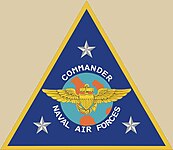 Commander, Naval Air Forces