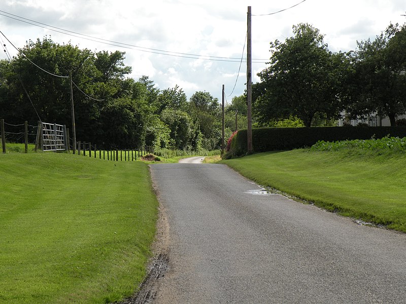 File:Country road heading towards Belchamp Walter (geograph 3023150).jpg