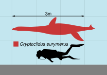 Cryptoclidus Wikidata