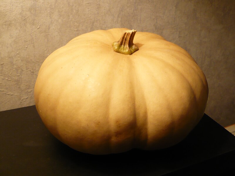 File:Cucurbita moschata Long Island Cheese squash.jpg