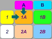 Táboa 2: Mecanismo das matrices para a análise.