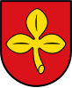 Wappen von Salzkotten