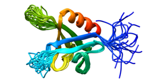 <span class="mw-page-title-main">DNM2</span> Protein-coding gene in the species Homo sapiens